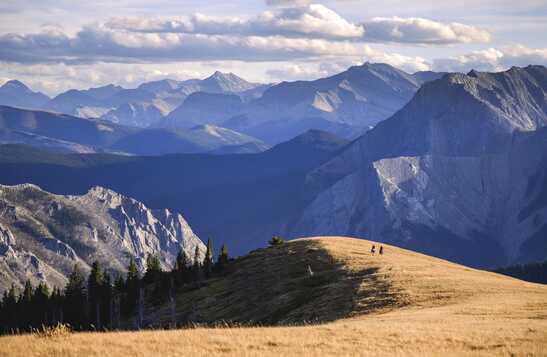 Two horseback riders in a meadow high in the mountains.