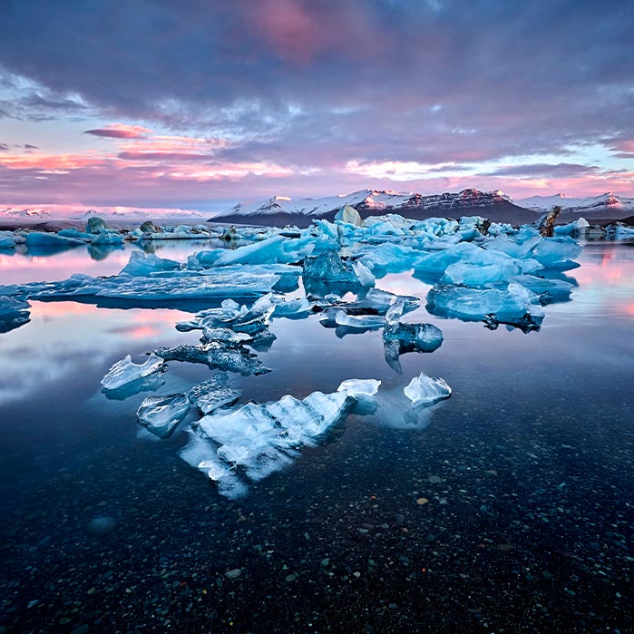 Broken ice floating in a bay.